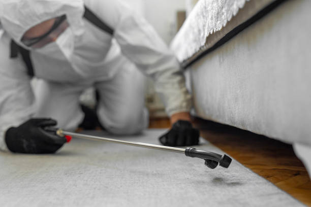 Professional Bed Bug Control technician working in Clay County County, FL